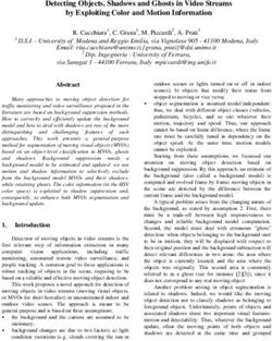 Detecting Objects, Shadows and Ghosts in Video Streams by Exploiting Color and Motion Information