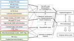 Animal Models for Human Polycystic Ovary Syndrome (PCOS) Focused on the Use of Indirect Hormonal Perturbations: A Review of the Literature - MDPI