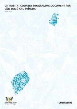 UN-HABITAT COUNTRY PROGRAMME DOCUMENT FOR SÃO TOMÉ AND PRÍNCIPE 2019-2021