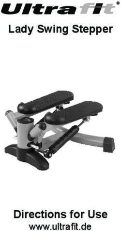 Lady Swing Stepper - Directions for Use www.ultrafit.de