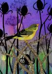 Open Studios Ayrshire - The 2018 Directory of OSA Artists & Makers