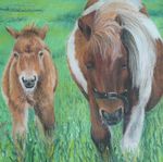 Open Studios Ayrshire - The 2018 Directory of OSA Artists & Makers