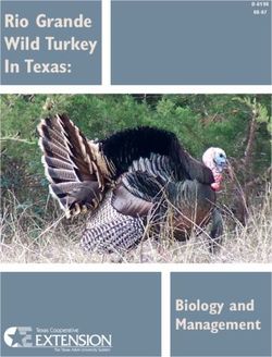 Rio Grande Wild Turkey In Texas: Biology and Management