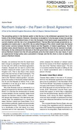 Northern Ireland - the Pawn in Brexit Agreement - Sabine Riedel