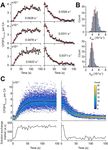 Fluorescence biosensor for real-time interaction dynamics of host proteins with HIV-1 capsid tubes - bioRxiv