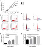 Promoter hypermethylation influences the suppressive role of long non coding RNA MEG3 in the development of multiple myeloma