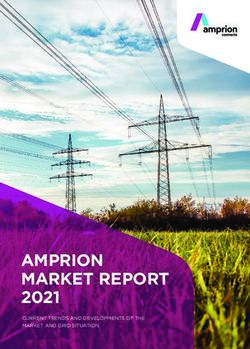 AMPRION MARKET REPORT 2021 - CURRENT TRENDS AND DEVELOPMENTS OF THE MARKET AND GRID SITUATION