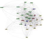 How Do Different Indicators of Household Food Security Compare? Empirical Evidence from Tigray - Daniel Maxwell, Jennifer Coates and Bapu Vaitla