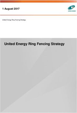 United Energy Ring Fencing Strategy - 1 August 2017