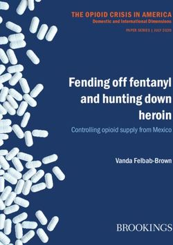 Fending off fentanyl and hunting down heroin - Controlling opioid supply from Mexico - Brookings ...