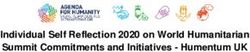 Individual Self Reflection 2020 on World Humanitarian Summit Commitments and Initiatives - Humentum UK