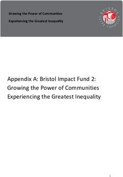Appendix A: Bristol Impact Fund 2: Growing the Power of Communities Experiencing the Greatest Inequality - Growing the Power of Communities ...