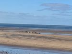 Sea Swallows, Shipwrecks and Shore Life: A Guide to Cleveleys and Rossall Beach - The Berkeley ...