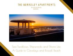 Sea Swallows, Shipwrecks and Shore Life: A Guide to Cleveleys and Rossall Beach - The Berkeley ...