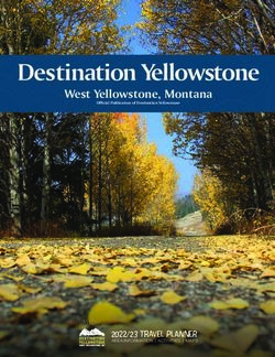 Destination Yellowstone - West Yellowstone, Montana - 20 /23 Tra l Pl N