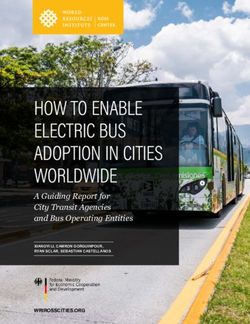 HOW TO ENABLE ELECTRIC BUS - ADOPTION IN CITIES WORLDWIDE A GUIDING REPORT FOR CITY TRANSIT AGENCIES AND BUS OPERATING ENTITIES