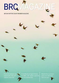 MAGAZINE BRC - Batumi Raptor Count