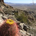 HIGHLIGHTS REPORT AUTUMN 2016 - EPA
