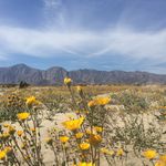 HIGHLIGHTS REPORT AUTUMN 2016 - EPA