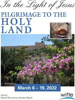 Holy land In the Light of Jesus Pilgrimage to the - March 6 - 19, 2022 - Witte Travel