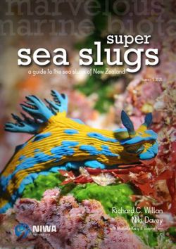 Sea slugs - Richard C. Willan Niki Davey with Michelle Kelly & Blayne Herr - NIWA