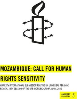 MOZAMBIQUE: CALL FOR HUMAN RIGHTS SENSITIVITY - AMNESTY INTERNATIONAL SUBMISSION FOR THE UN UNIVERSAL PERIODIC REVIEW, 38TH SESSION OF THE UPR ...