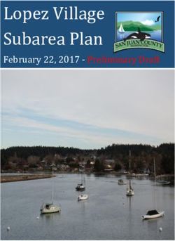 Lopez Village Subarea Plan - February 22, 2017 - Preliminary Draft - San Juan County