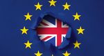 BREXIT BRIEF BREXIT - The Institute of International and European Affairs
