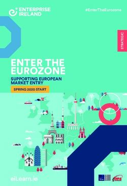 ENTER THE EUROZONE - eiLearn.ie - SUPPORTING EUROPEAN MARKET ENTRY - Enterprise Ireland