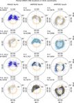 AMPERE polar cap boundaries - ANGEO
