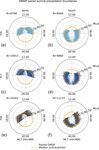 AMPERE polar cap boundaries - ANGEO