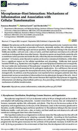 Mycoplasmas-Host Interaction: Mechanisms of Inflammation and Association with Cellular Transformation - MDPI