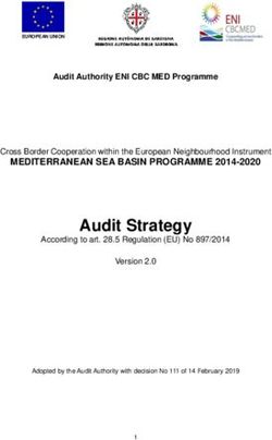 Audit Strategy - Regione Sardegna