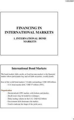 FINANCING IN INTERNATIONAL MARKETS - INTERNATIONAL BOND MARKETS