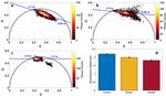 Molecular changes tracking through multiscale fluorescence microscopy differentiate Meningioma grades and non tumoral brain tissues