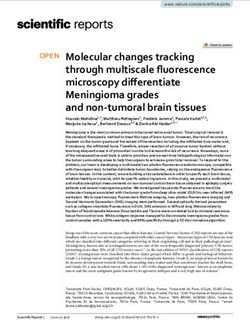Molecular changes tracking through multiscale fluorescence microscopy differentiate Meningioma grades and non tumoral brain tissues