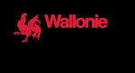 Public Funding for R&D Activities in Wallonia - September 2020