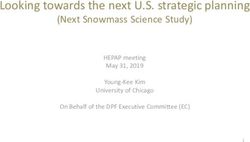 Looking towards the next U.S. strategic planning - (Next Snowmass Science Study) HEPAP meeting May 31, 2019 - DOE Office of Science