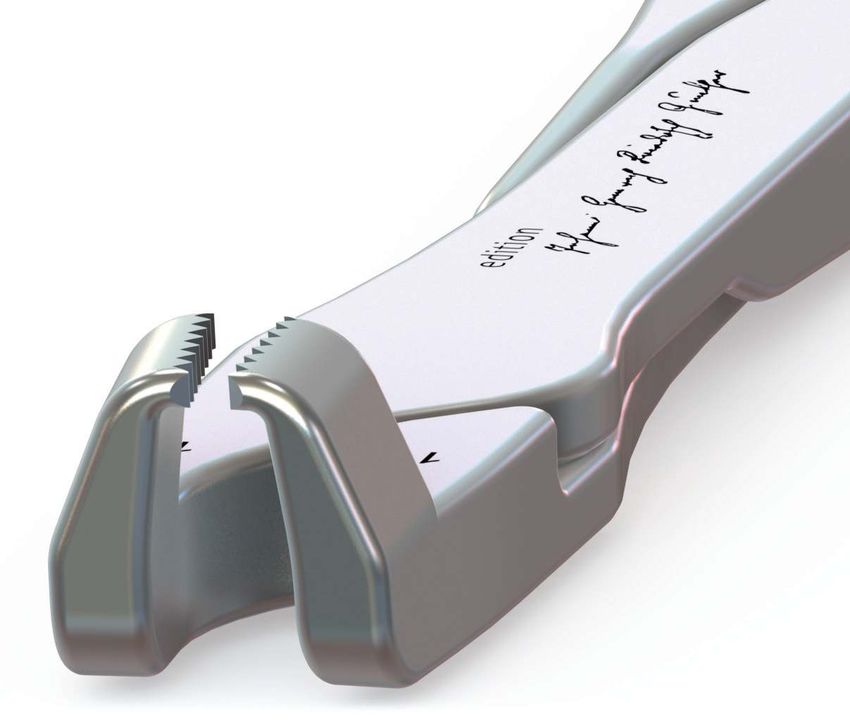 CATALOGUE Dedicated to Advanced 20212022 Horse Dental Equipment