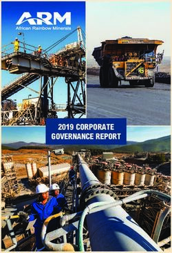 2019 CORPORATE GOVERNANCE REPORT - African Rainbow Minerals