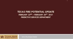 TEXAS FIRE POTENTIAL UPDATE - FEBRUARY 22ND - FEBRUARY 28TH 2021 PREDICTIVE SERVICES DEPARTMENT