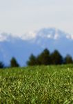 WHEN THE STARS COME OUT TO PLAY - Omega European Masters