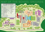 Years 12 & 13 Senior School
