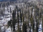 LAKE BABINE NATION Foundation Agreement & Natural Resources Team Update - November 2020