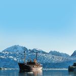 SVALBARD 2020 LOFOTEN, BEAR ISLAND & SVALBARD - SPRINGTIME IN SVALBARD - SVALBARD ADVENTURE - EXPEDITION SVALBARD - Polar quest