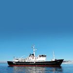 SVALBARD 2020 LOFOTEN, BEAR ISLAND & SVALBARD - SPRINGTIME IN SVALBARD - SVALBARD ADVENTURE - EXPEDITION SVALBARD - Polar quest