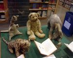 The wonder of Winnie-the-Pooh - A National Literacy Trust membership resource
