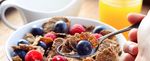 THE PALM OIL STORY Facts and Figures - European Palm Oil Alliance