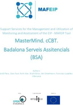 (BSA) MasterMind. cCBT. Badalona Serveis Assitencials - mafeip
