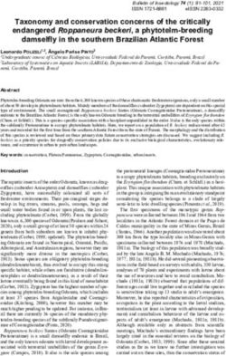 Taxonomy and conservation concerns of the critically endangered Roppaneura beckeri, a phytotelm-breeding damselfly in the southern Brazilian ...